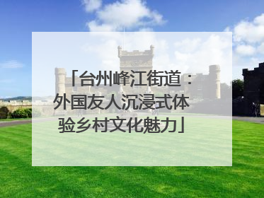 台州峰江街道：外国友人沉浸式体验乡村文化魅力