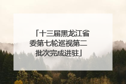 十三届黑龙江省委第七轮巡视第二批次完成进驻