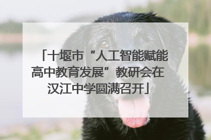 十堰市“人工智能赋能高中教育发展”教研会在汉江中学圆满召开