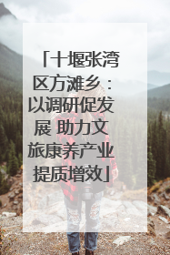 十堰张湾区方滩乡：以调研促发展 助力文旅康养产业提质增效