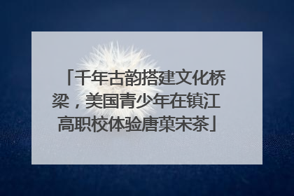 千年古韵搭建文化桥梁，美国青少年在镇江高职校体验唐菓宋茶