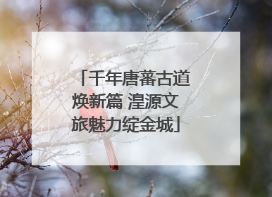 千年唐蕃古道焕新篇 湟源文旅魅力绽金城