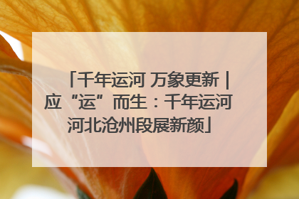 千年运河 万象更新｜应“运”而生：千年运河河北沧州段展新颜