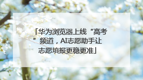 华为浏览器上线“高考”频道，AI志愿助手让志愿填报更稳更准