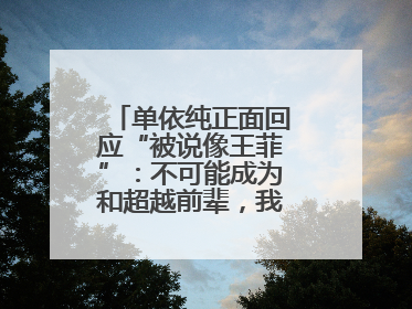 单依纯正面回应“被说像王菲”：不可能成为和超越前辈，我想致敬他们