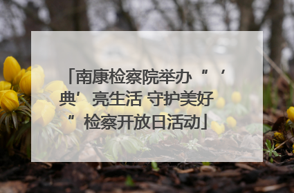 南康检察院举办“‘典’亮生活 守护美好”检察开放日活动