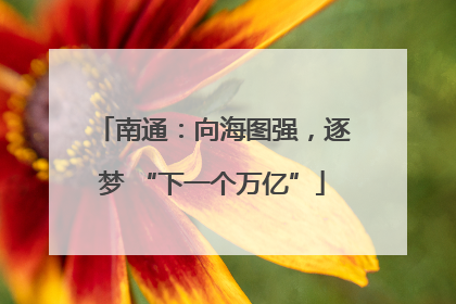 南通：向海图强，逐梦 “下一个万亿”