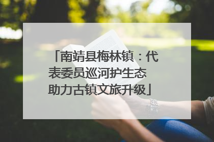 南靖县梅林镇：代表委员巡河护生态 助力古镇文旅升级