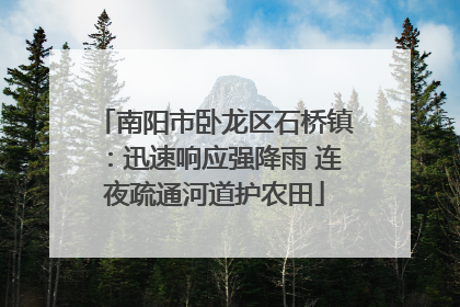 南阳市卧龙区石桥镇：迅速响应强降雨 连夜疏通河道护农田