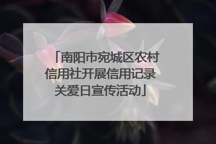 南阳市宛城区农村信用社开展信用记录关爱日宣传活动