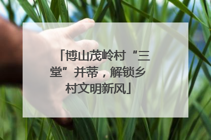 博山茂岭村“三堂”并蒂，解锁乡村文明新风