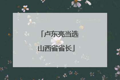 卢东亮当选山西省省长