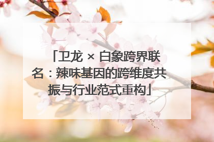 卫龙 × 白象跨界联名：辣味基因的跨维度共振与行业范式重构