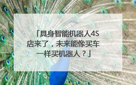 具身智能机器人4S店来了，未来能像买车一样买机器人？