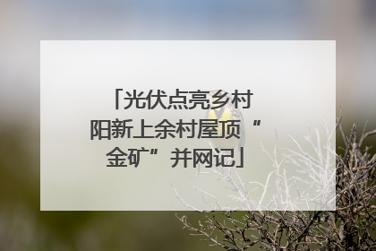 光伏点亮乡村 阳新上余村屋顶“金矿”并网记