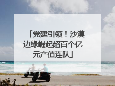 党建引领！沙漠边缘崛起超百个亿元产值连队