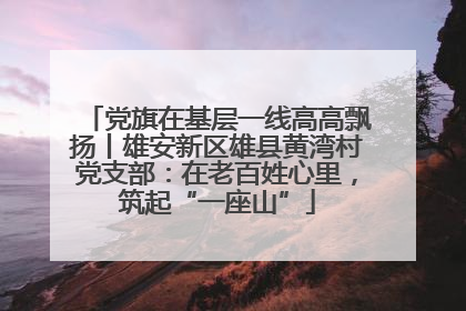 党旗在基层一线高高飘扬丨雄安新区雄县黄湾村党支部：在老百姓心里，筑起“一座山”