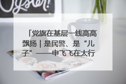 党旗在基层一线高高飘扬｜是民警、是“儿子”——申飞飞在太行山中的一线坚守
