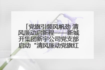 党旗引领风帆劲 清风廉动启新程——新城开集团新宇公司党支部启动“清风廉动党旗红”系列活动
