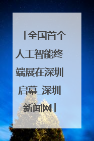全国首个人工智能终端展在深圳启幕_深圳新闻网