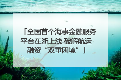 全国首个海事金融服务平台在浙上线 破解航运融资“双重困境”