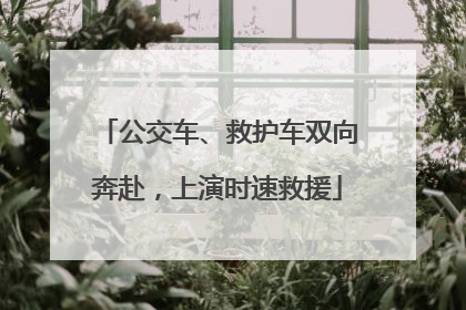 公交车、救护车双向奔赴，上演时速救援