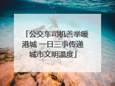公交车司机善举暖港城 一日三事传递城市文明温度