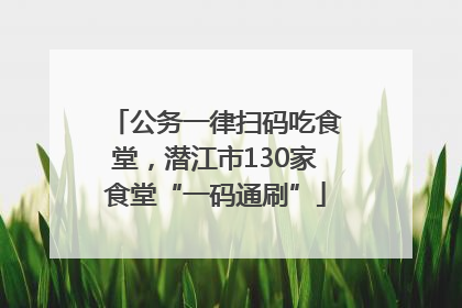 公务一律扫码吃食堂，潜江市130家食堂“一码通刷”