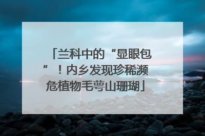 兰科中的“显眼包”！内乡发现珍稀濒危植物毛萼山珊瑚