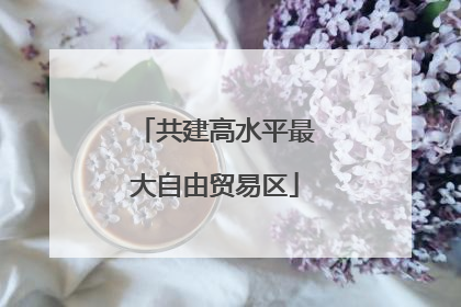 共建高水平最大自由贸易区