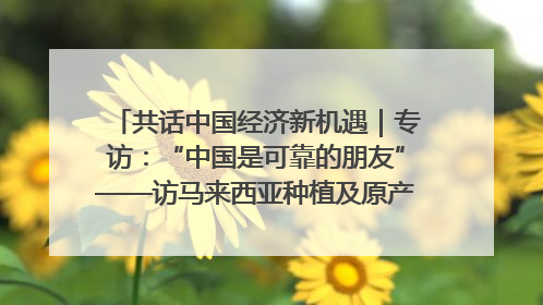 共话中国经济新机遇｜专访：“中国是可靠的朋友”——访马来西亚种植及原产业部副部长陈泓缣