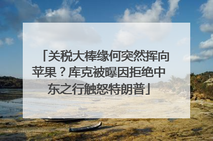 关税大棒缘何突然挥向苹果？库克被曝因拒绝中东之行触怒特朗普