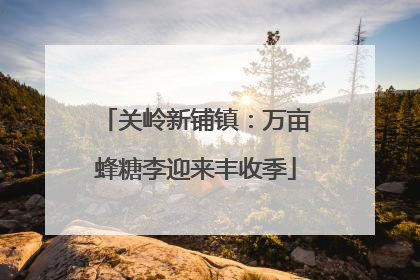 关岭新铺镇：万亩蜂糖李迎来丰收季