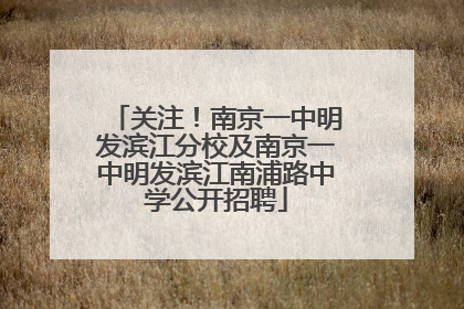 关注！南京一中明发滨江分校及南京一中明发滨江南浦路中学公开招聘