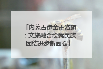 内蒙古伊金霍洛旗：文旅融合绘就民族团结进步新画卷