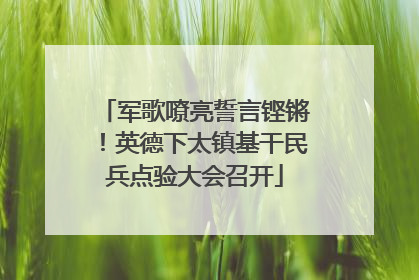 军歌嘹亮誓言铿锵！英德下太镇基干民兵点验大会召开