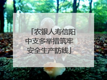 农银人寿信阳中支多举措筑牢安全生产防线