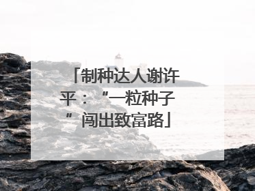 制种达人谢许平：“一粒种子”闯出致富路