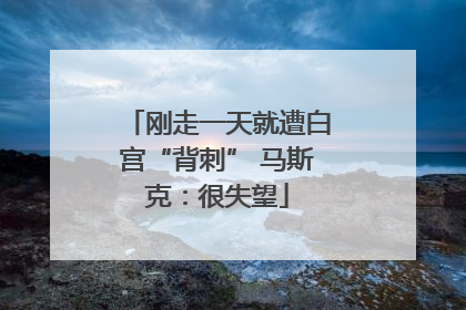 刚走一天就遭白宫“背刺” 马斯克：很失望