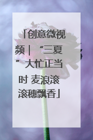 创意微视频｜“三夏”大忙正当时 麦浪滚滚穗飘香
