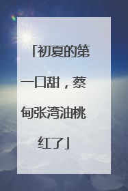 初夏的第一口甜，蔡甸张湾油桃红了