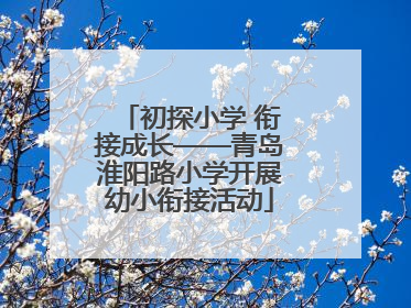初探小学 衔接成长——青岛淮阳路小学开展幼小衔接活动