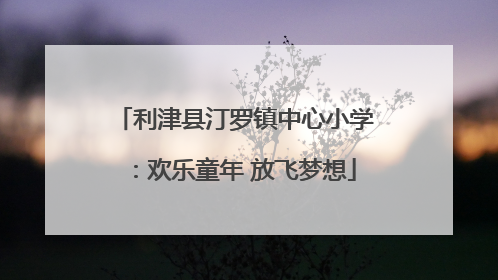利津县汀罗镇中心小学：欢乐童年 放飞梦想