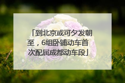 到北京或可夕发朝至，6组卧铺动车首次配属成都动车段