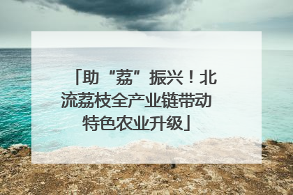 助“荔”振兴！北流荔枝全产业链带动特色农业升级