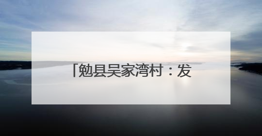 勉县吴家湾村：发展烤烟产业 助推乡村振兴富民增收