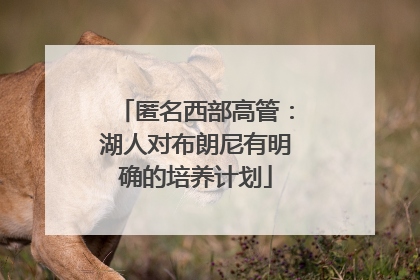 匿名西部高管：湖人对布朗尼有明确的培养计划