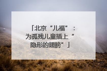 北京“儿福”：为孤残儿童插上“隐形的翅膀”