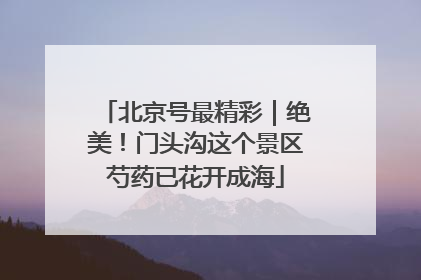 北京号最精彩｜绝美！门头沟这个景区芍药已花开成海