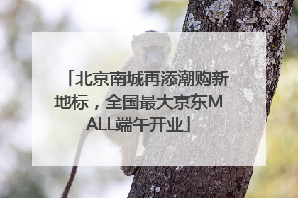 北京南城再添潮购新地标，全国最大京东MALL端午开业